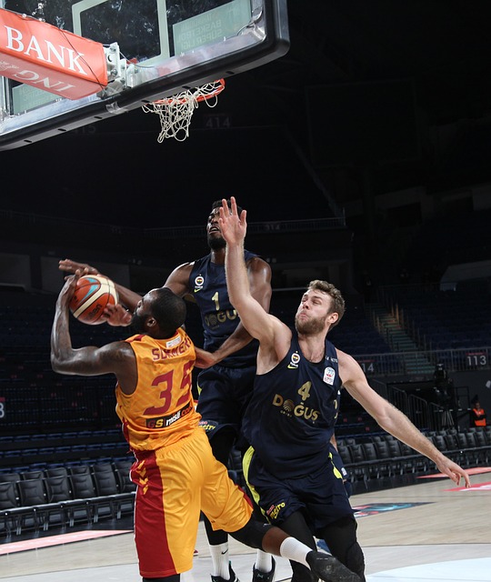 归也体现了 归也体现了